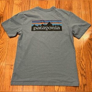 Patagonia Blue Graphic T-Shirt for Men Regular Fit Medium